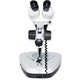 Бінокулярний мікроскоп ZTX-20 -C2 (20x; 2x/4x) Прев'ю 1
